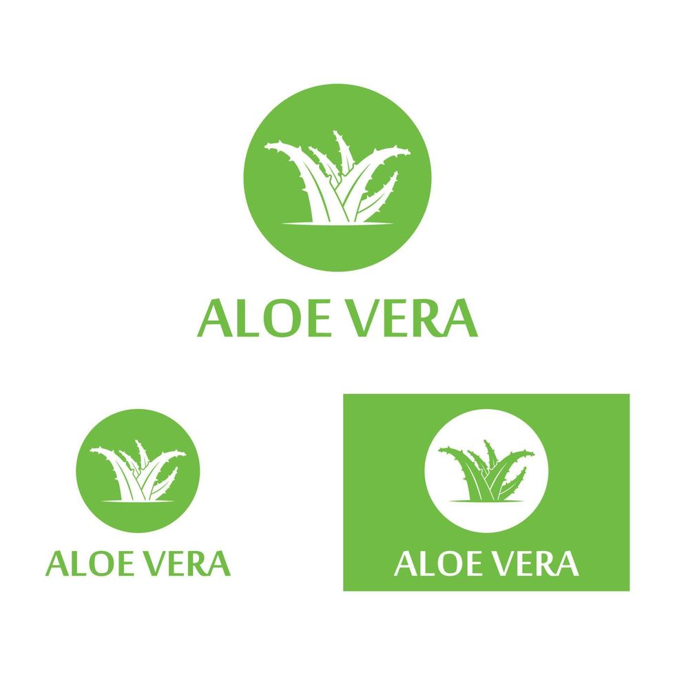 modelo de ilustração vetorial de logotipo de aloe vera vetor