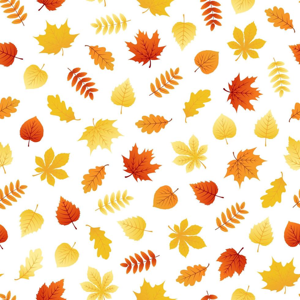 padrão perfeito de outono com folhas coloridas vetor