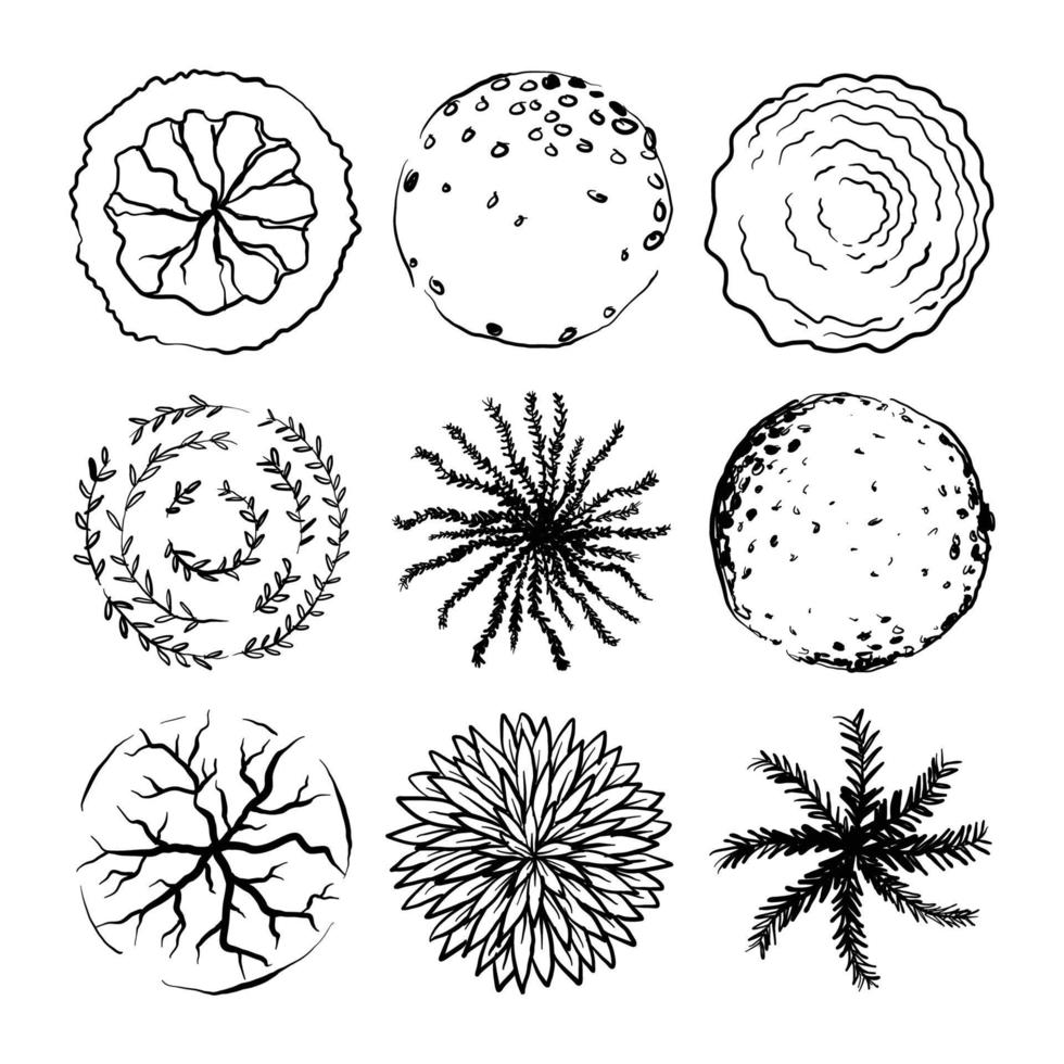 coleção de plano de árvore de contorno de arquitetura vetor