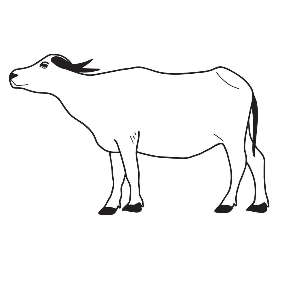 búfalo de água ou vetor de búfalo tailandês. vista lateral. ilustração vetorial em branco