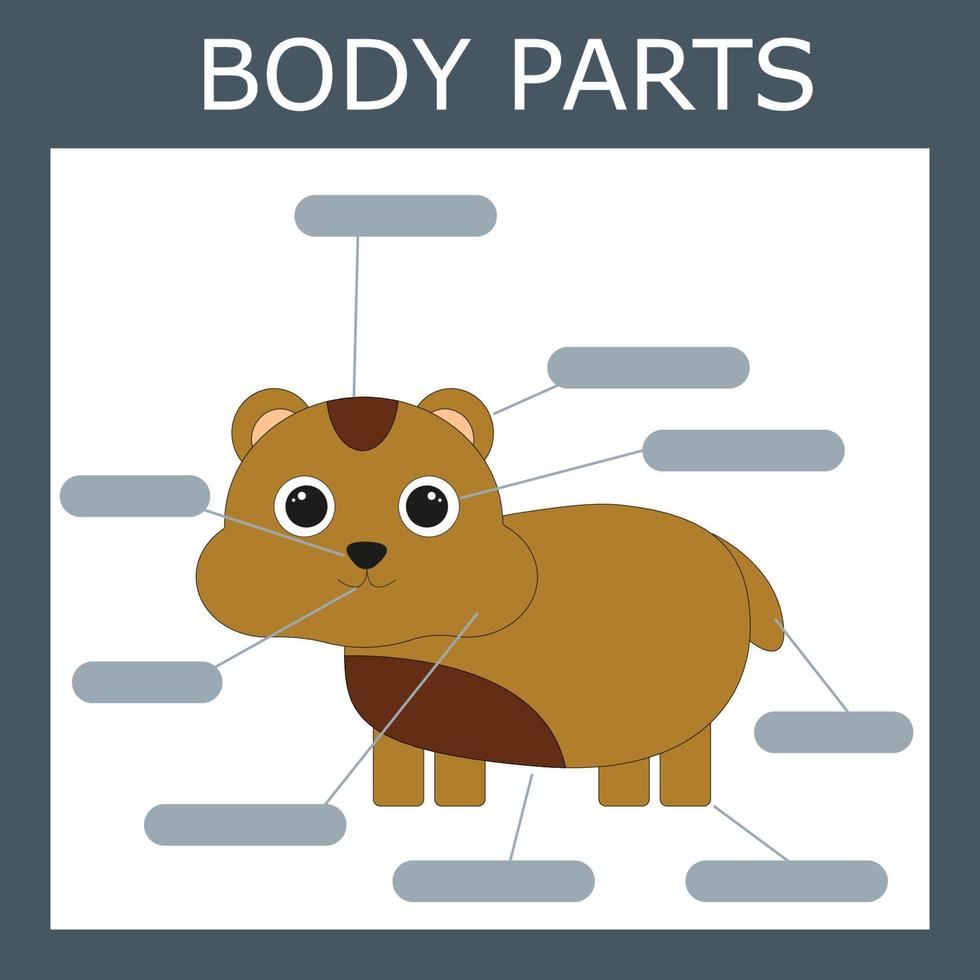 anote as partes do corpo do hamster. jogo educativo para crianças. vetor