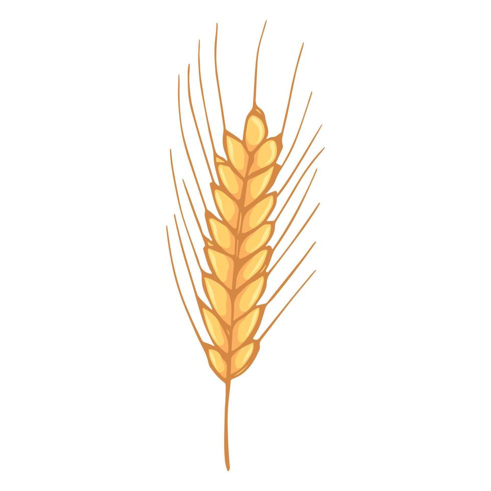 ilustração em vetor mão desenhada trigo doodle. bonito clipart de colheita. produto do mercado agrícola.