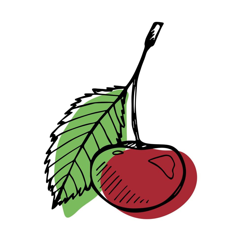 clipart de cereja vetorial. ícone de baga desenhada de mão. ilustração de frutas vetor