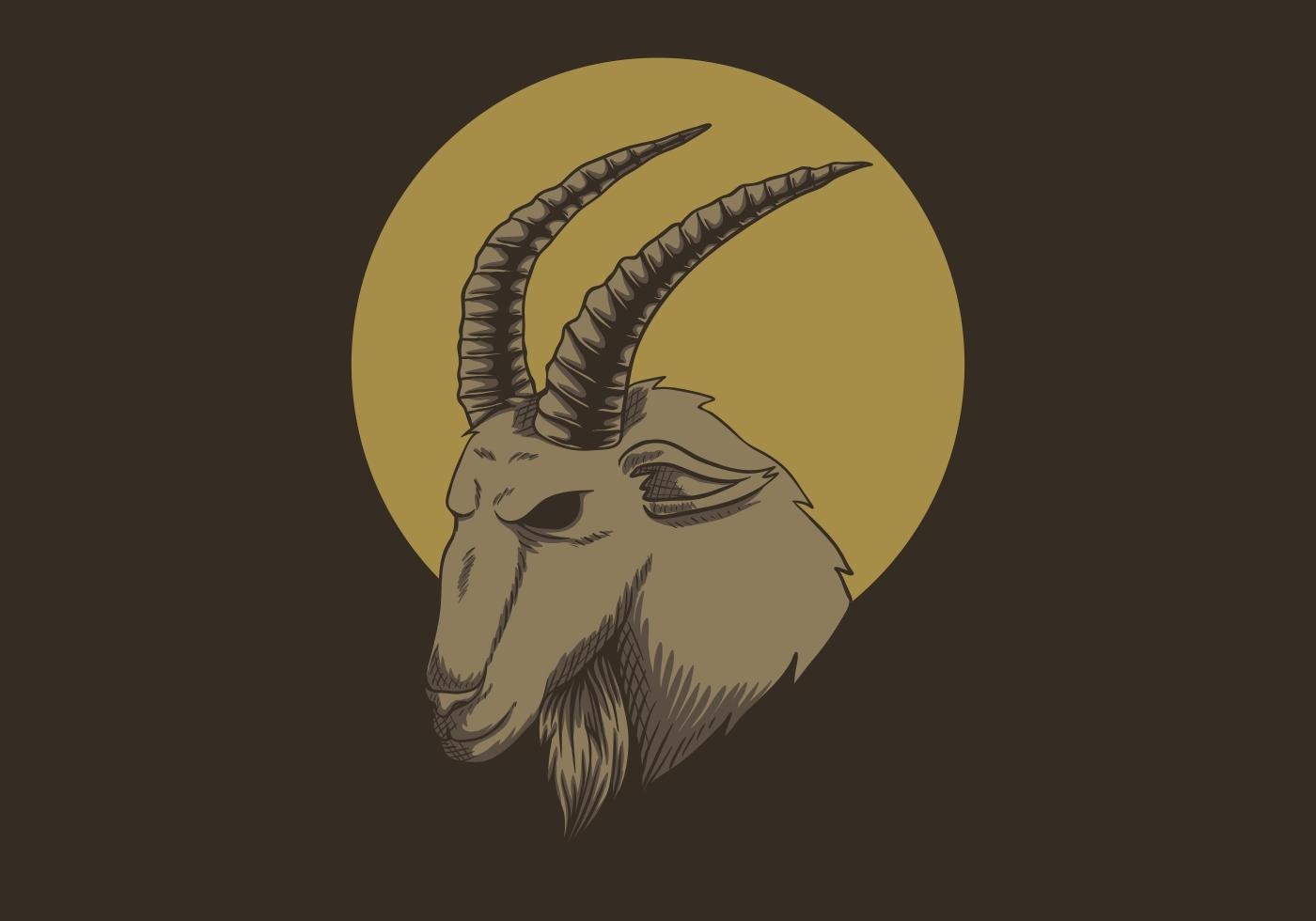 ilustração de cabeça de cabra da montanha vetor