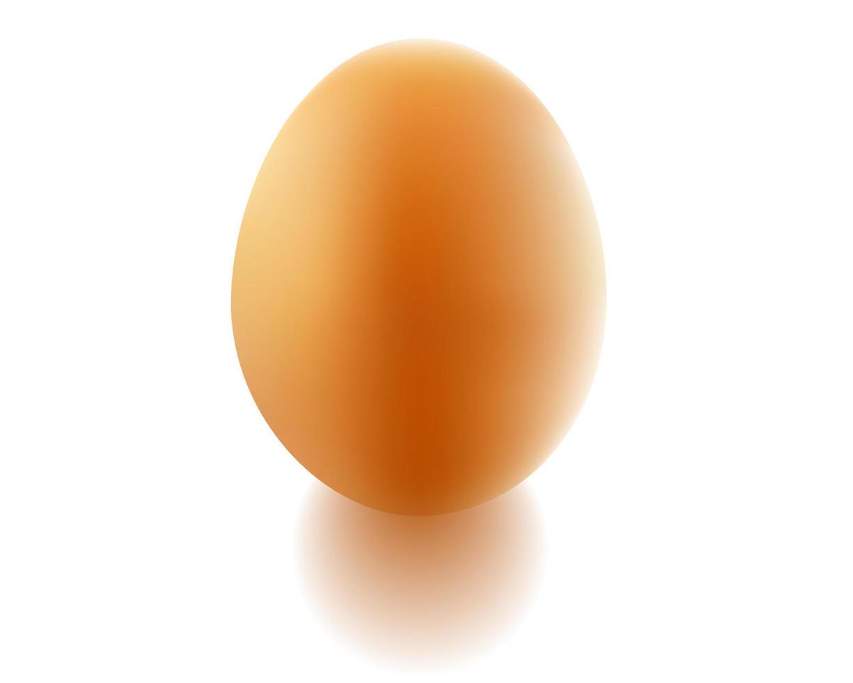 ovo de galinha e sombra vetor