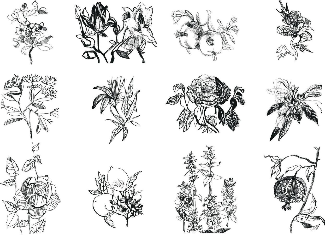 ilustrações de flores e plantas vetor