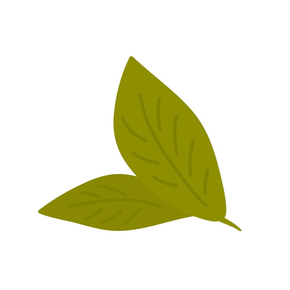folhas de chá verde em fundo branco. ilustração vetorial. elemento para design, publicidade, embalagem de produtos de chá vetor