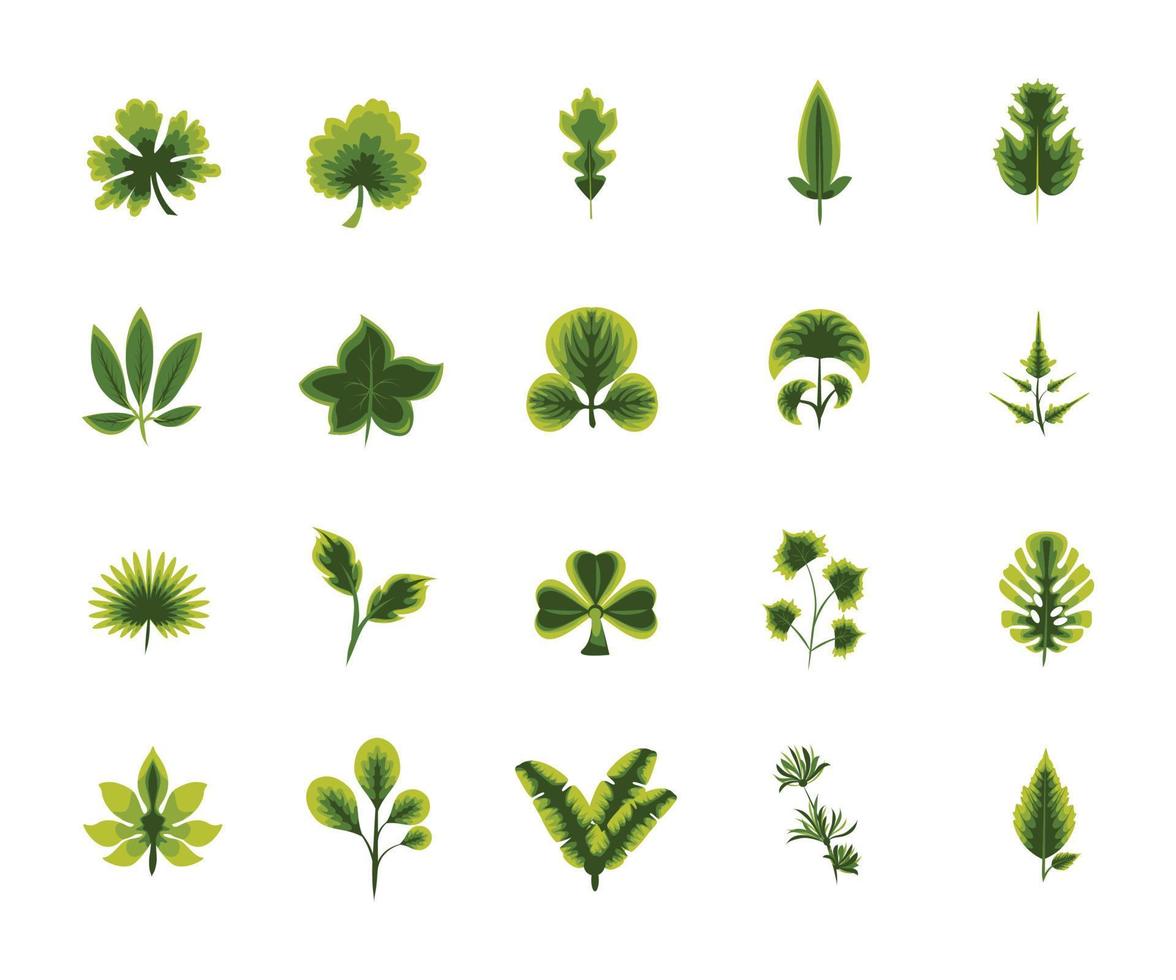 conjunto de elementos de coleção de folhas verdes estilo simples vetor