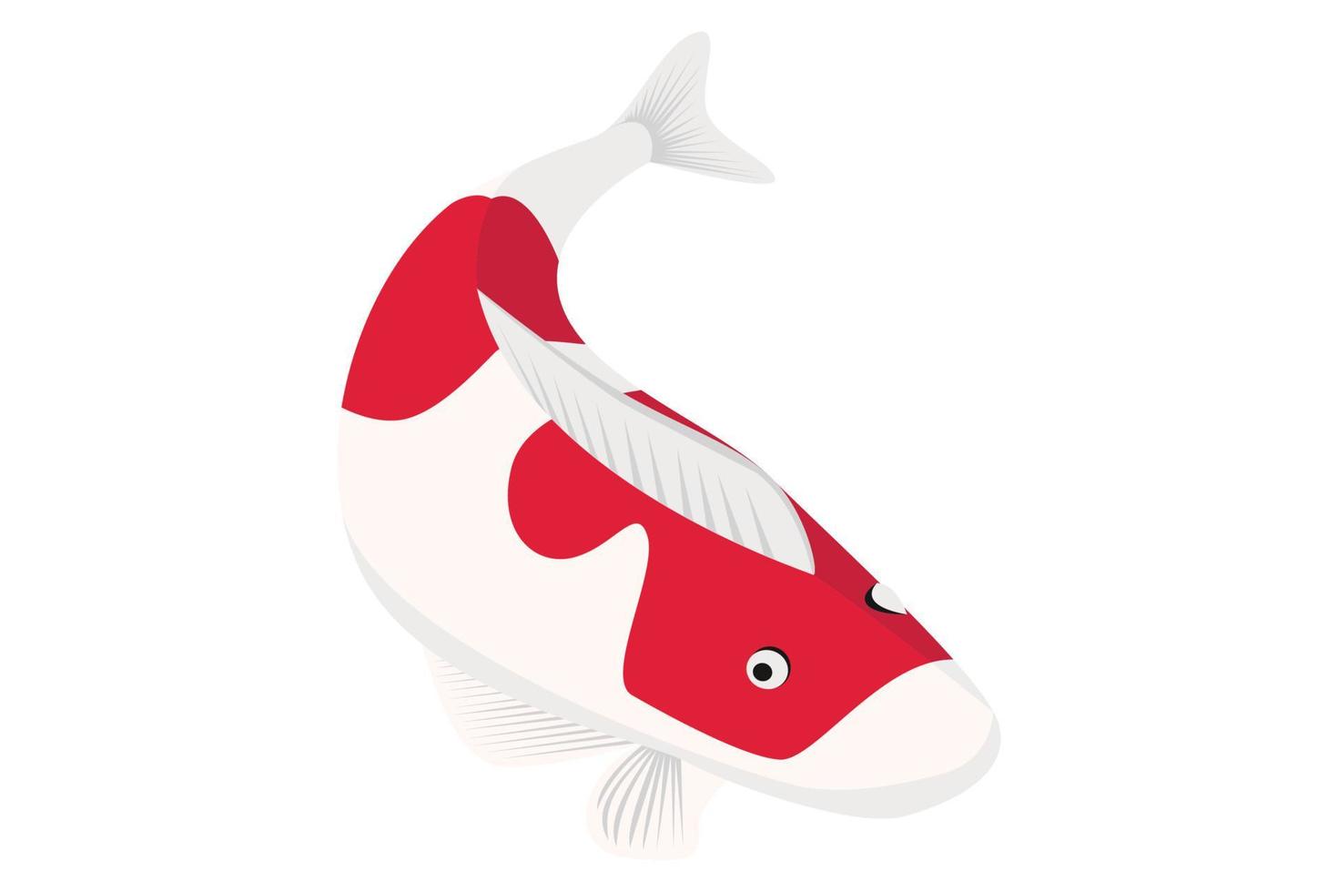 ilustração vetorial de peixe koi vetor