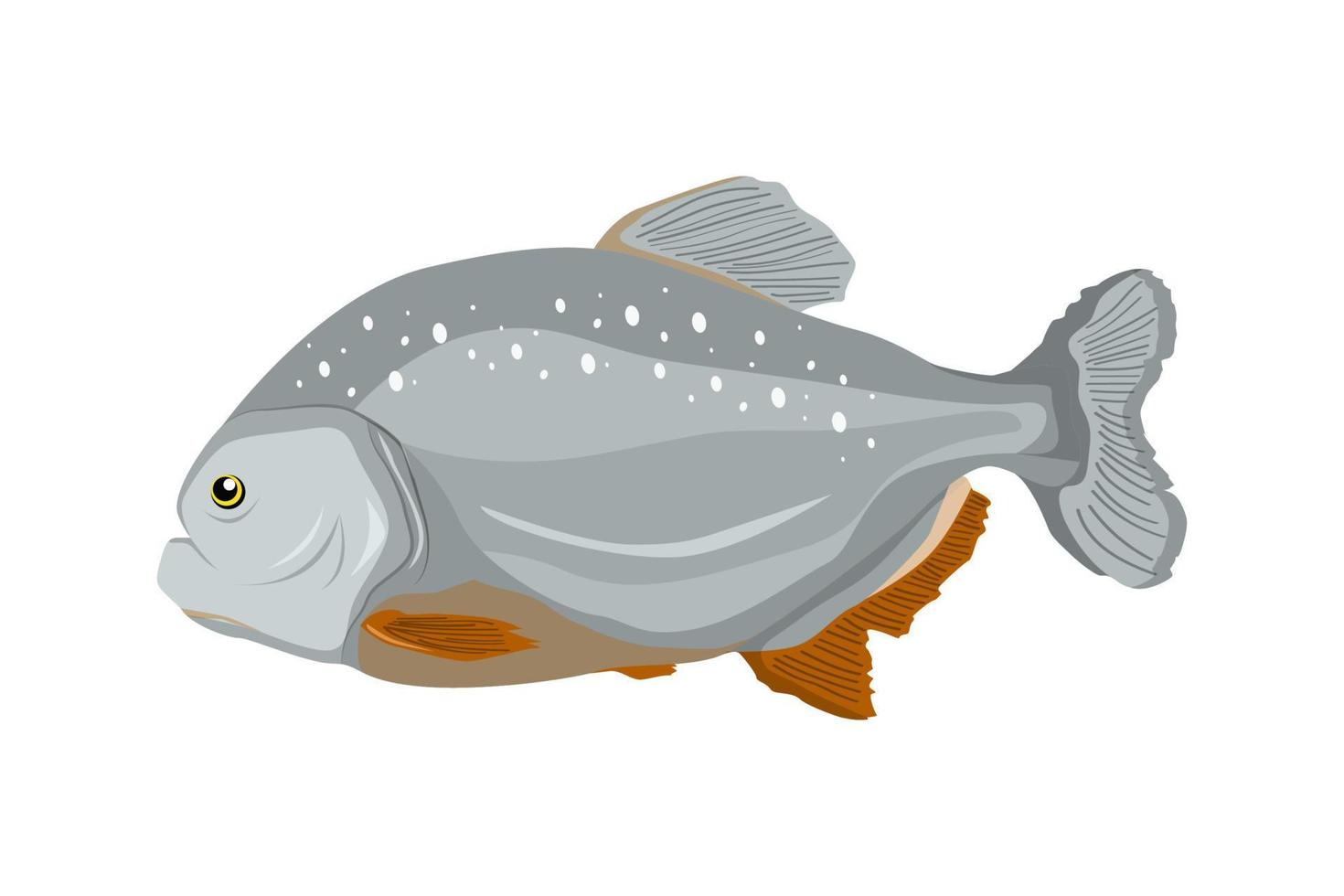 ilustração vetorial de peixe piranha vetor