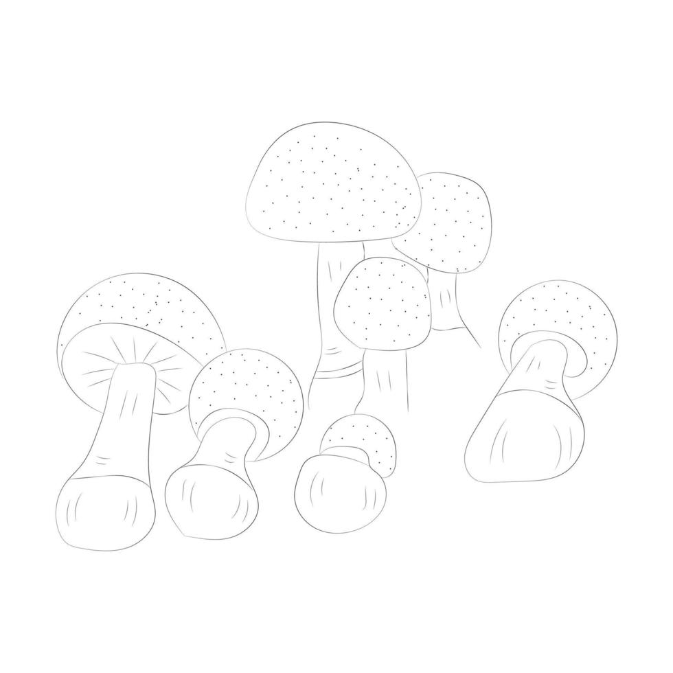 desenhos de cogumelos para colorir vetor