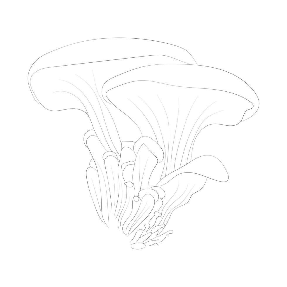 desenhos de cogumelos para colorir vetor