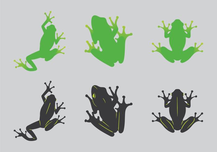 Ilustração vetorial grátis Green Tree Frog vetor