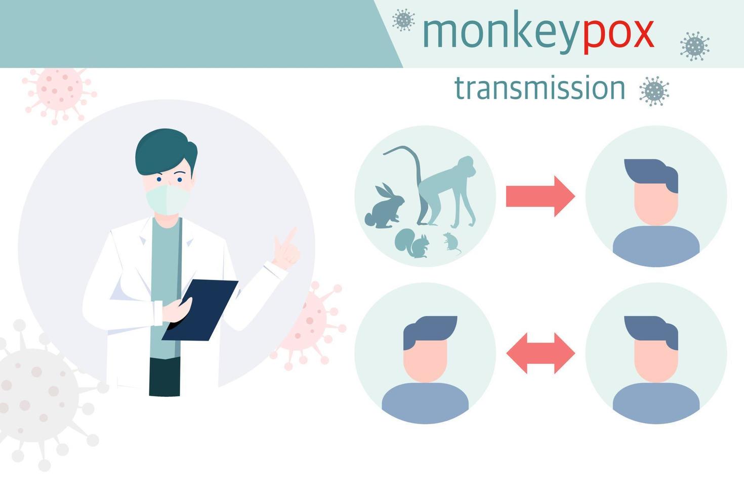 infográfico de infecção pelo vírus da varíola dos macacos, transmissão de animal para humano. e transmissão de humano para humano, ilustração vetorial vetor