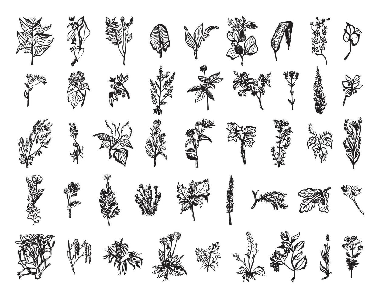 ilustrações de plantas medicinais em estilo de tinta de arte vetor