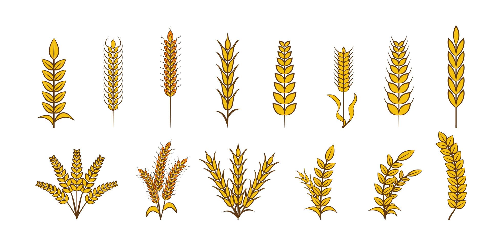 conjunto de elementos de trigo vetor