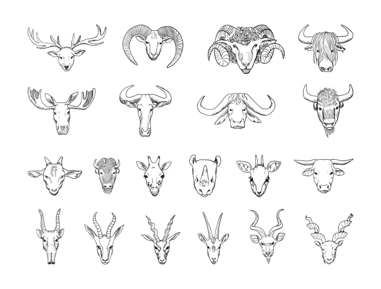 cabeças de animais com ilustrações de chifres em estilo de tinta de arte vetor
