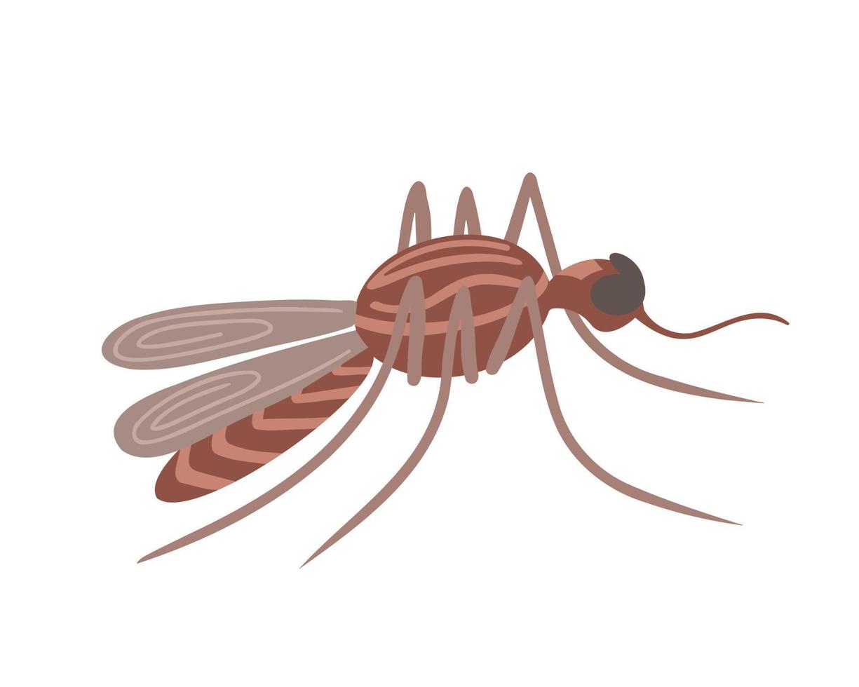 mosquito inseto. ilustração para impressão, fundos, capas, embalagens, cartões, cartazes, adesivos, design têxtil e sazonal. isolado no fundo branco. vetor