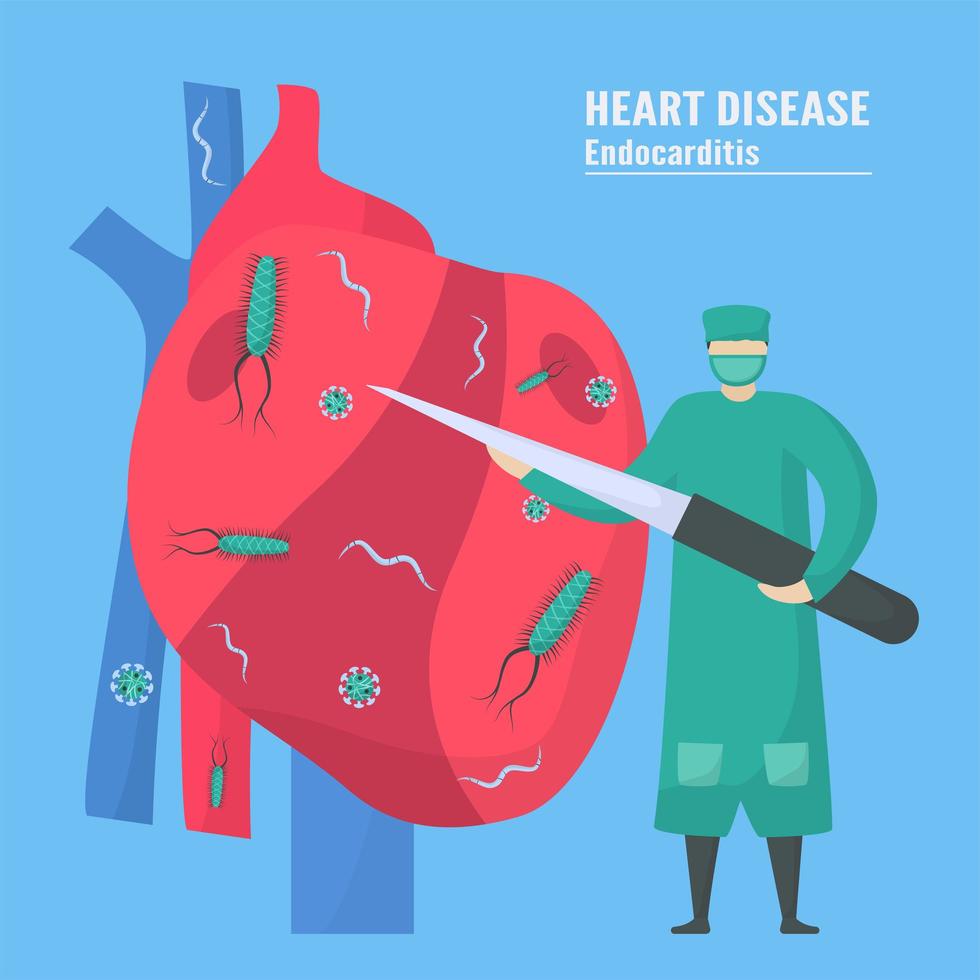 tratamento cardiológico da endocardite vetor