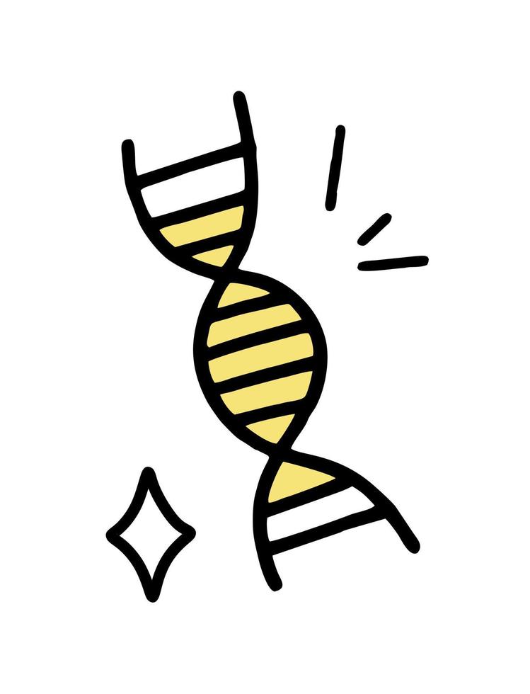 diagrama de DNA do doodle clipart. ilustração vetorial em estilo de linha. vetor