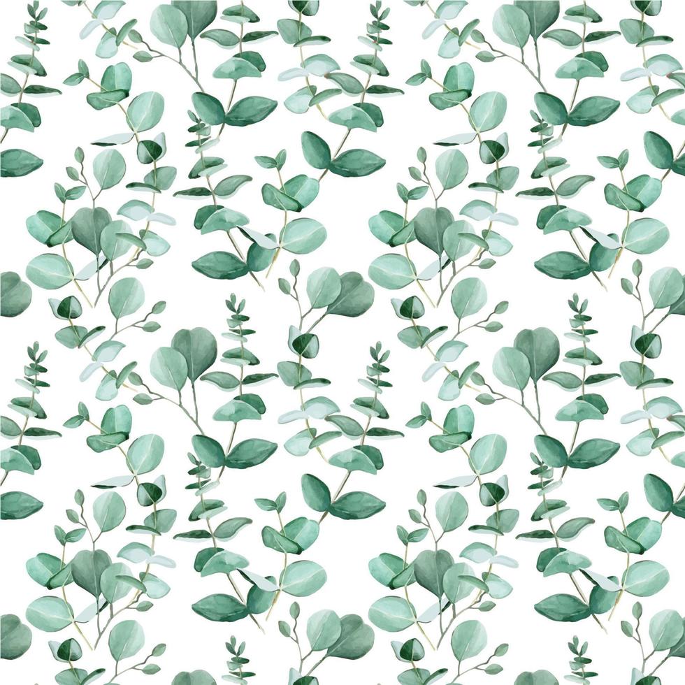 sem costura padrão com folhas de eucalipto aquarela em um fundo branco. folhas verdes de uma planta tropical. fundo vintage para papel de parede, têxtil, papel de embrulho, scrapbooking. vetor