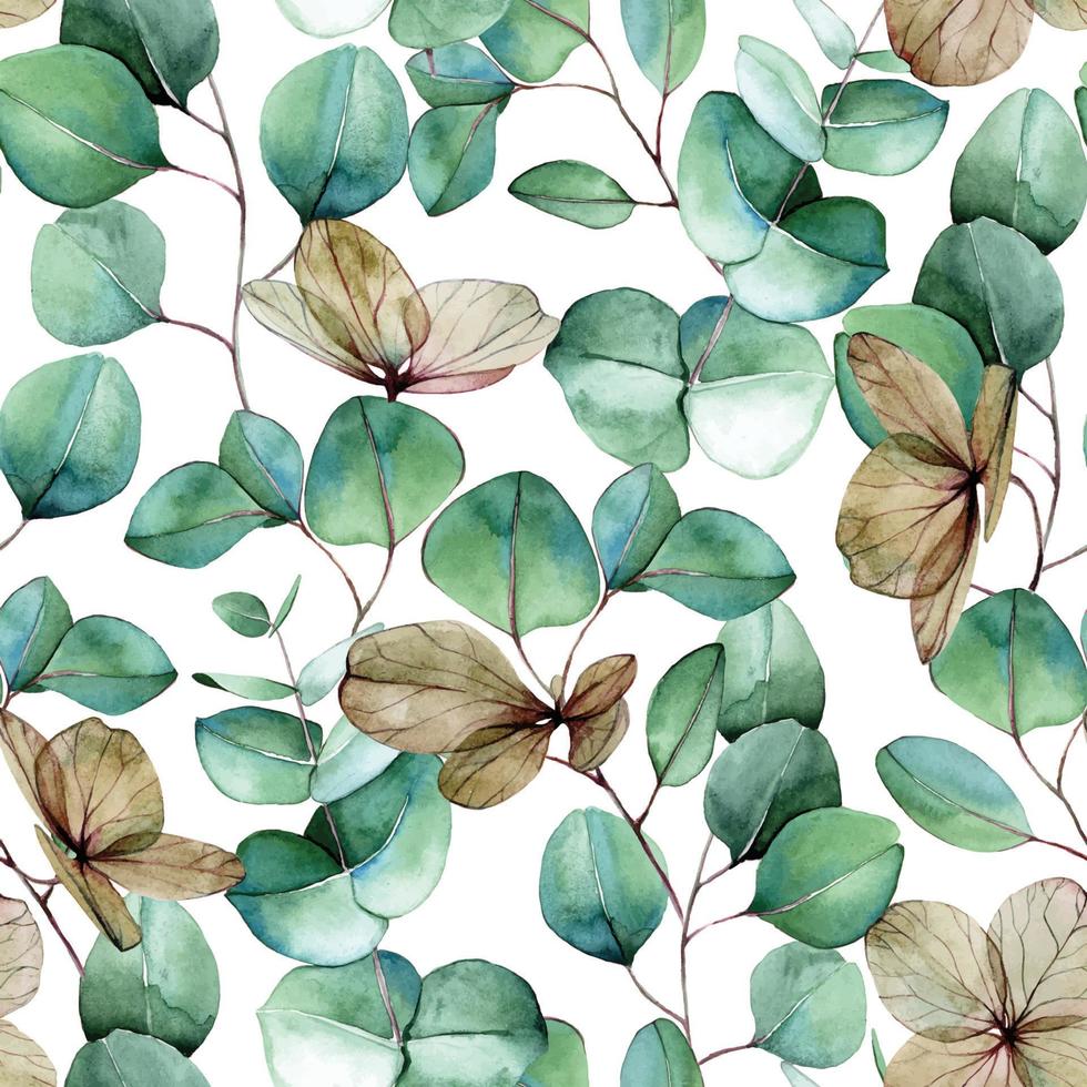 aquarela sem costura padrão com folhas de eucalipto verde e flores secas de hortênsia. impressão vintage sobre o tema do outono. para tecido, papel de parede, embrulho. folhas de eucalipto verde e azul em branco vetor