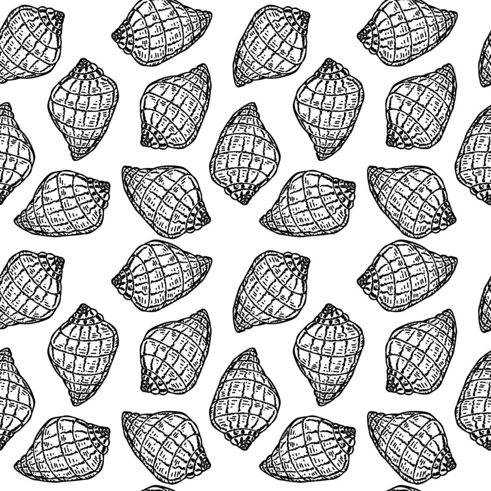 desenho sem costura desenhado à mão de conchas no estilo de desenho. caracóis de uva. rapanas. verão. oceano. relaxamento do mar. conchas com manchas abstratas. fundo do mar vetor