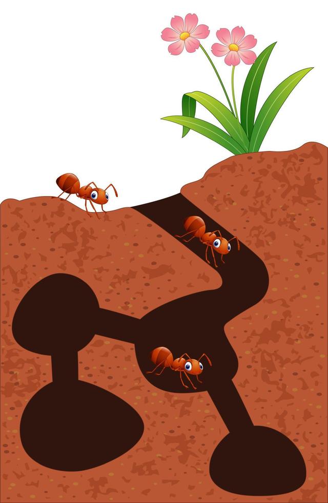 colônia de formigas de desenho animado vetor