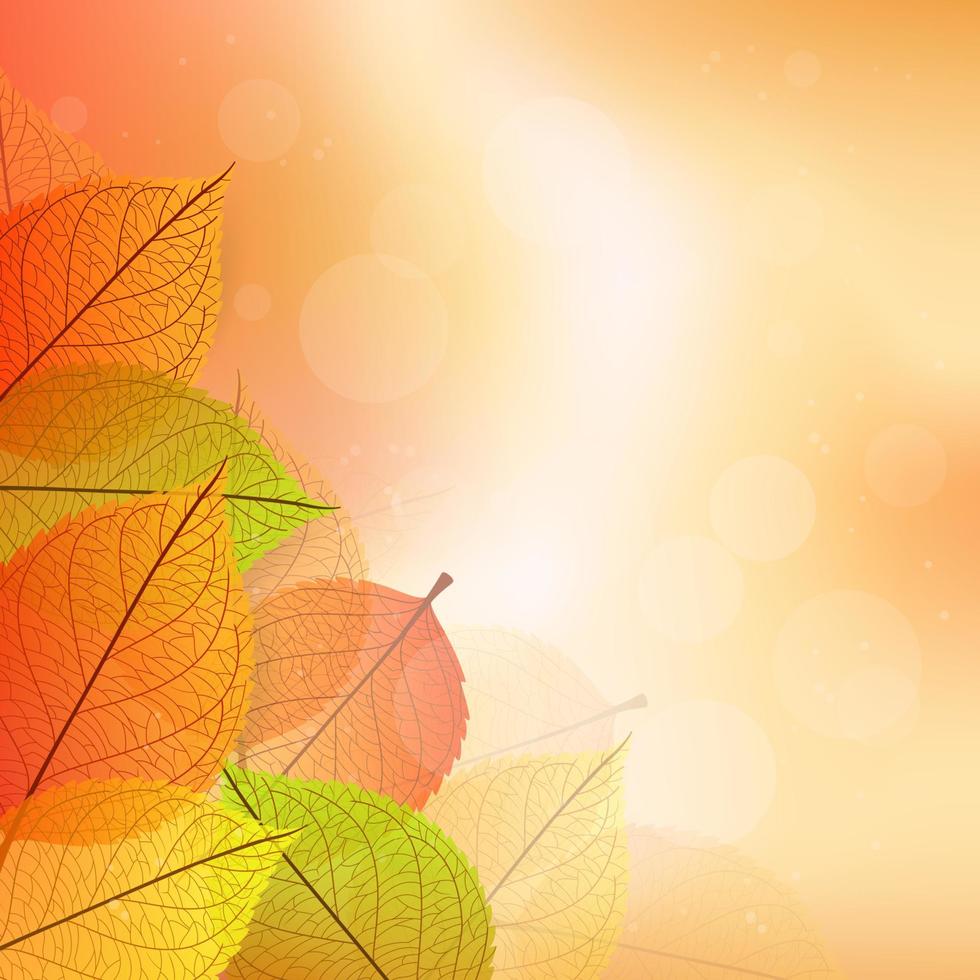 fundo com folhas de outono estilizadas vetor