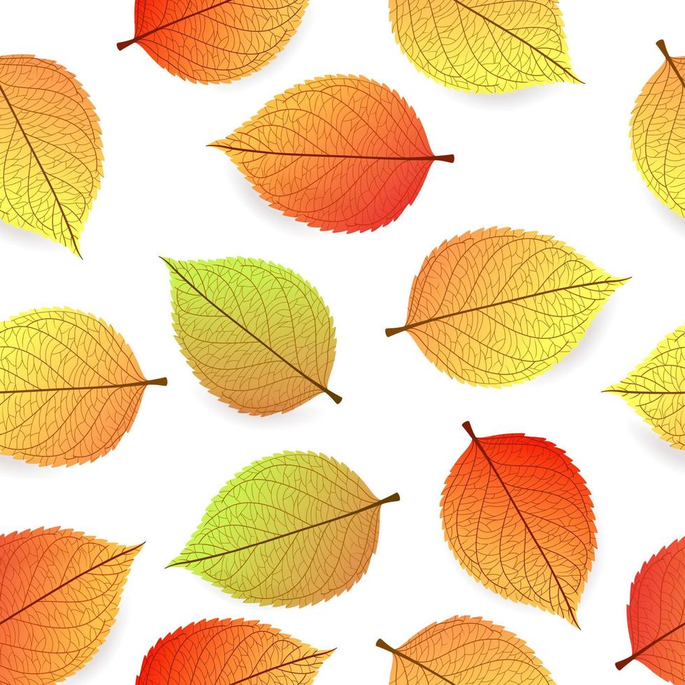 fundo com folhas de outono estilizadas vetor