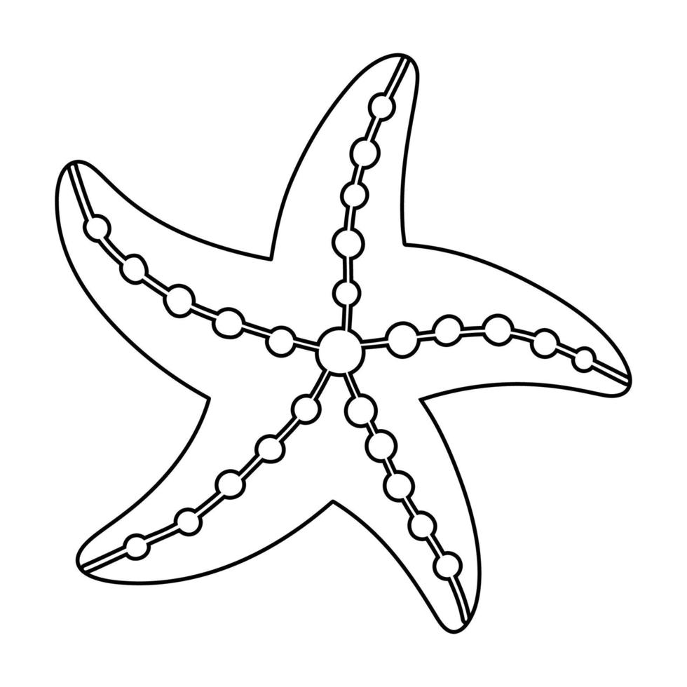 estrela do Mar. páginas para colorir para crianças. contorno de vetor em fundo branco.