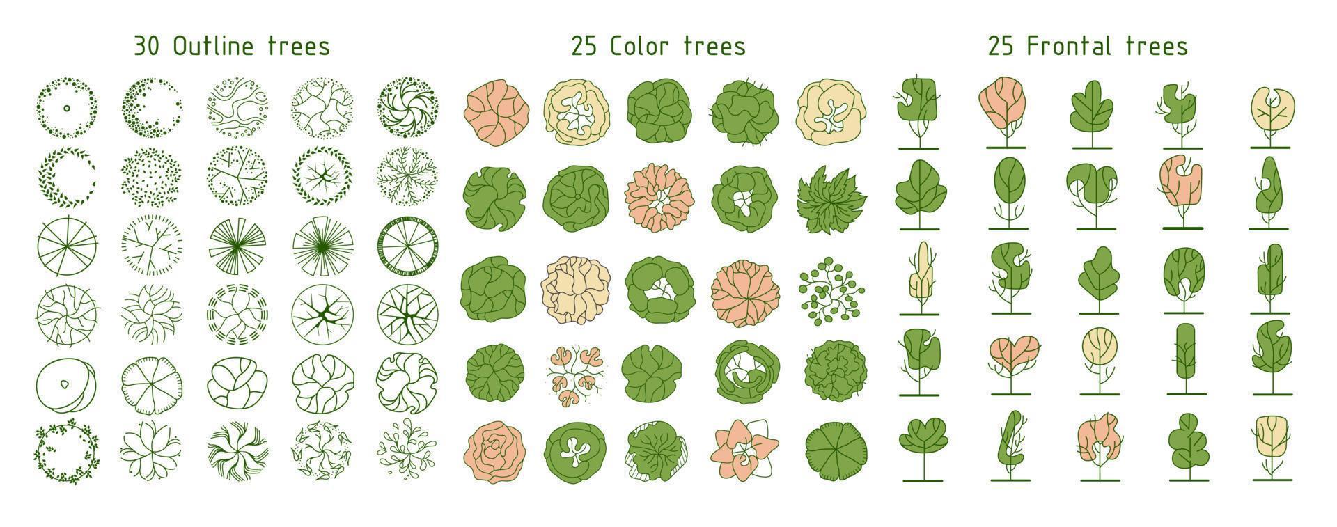 árvore para plantas arquitetônicas. projeto de comitiva. várias árvores, arbustos e arbustos, vista superior para o plano de projeto paisagístico. ilustração vetorial. vetor