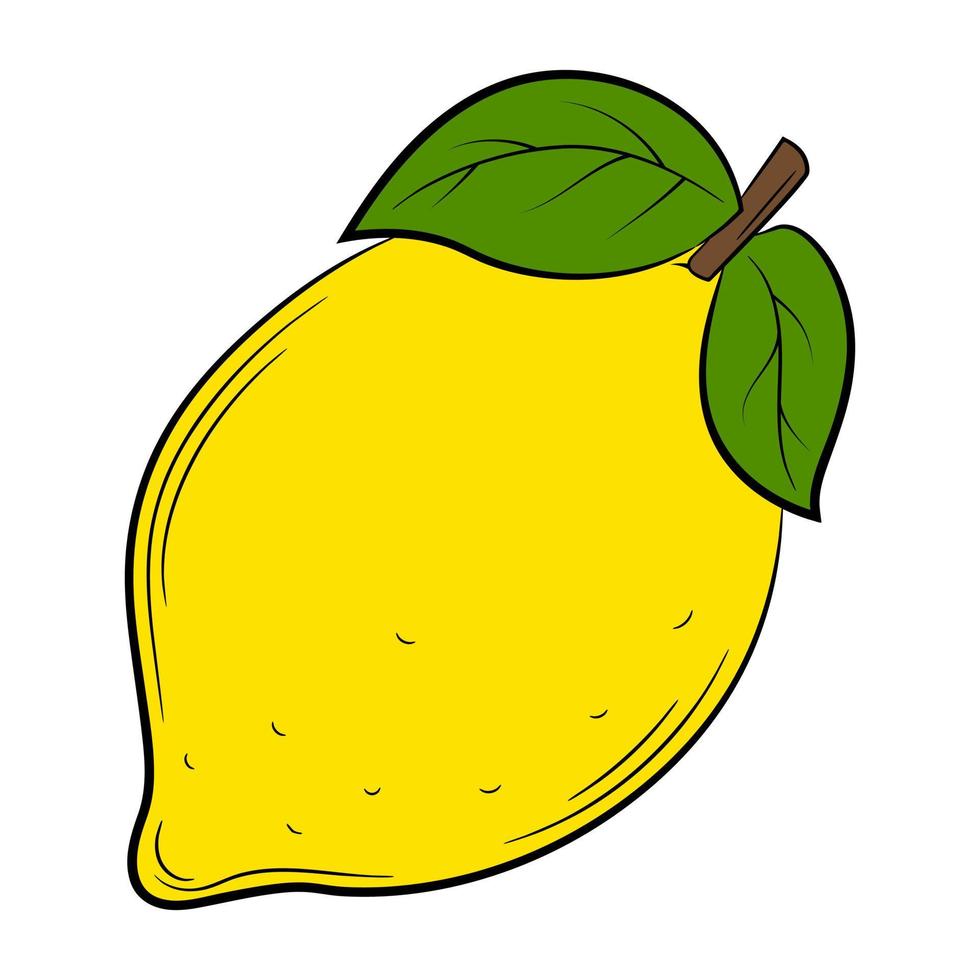 limão, fruta em estilo linear. elemento decorativo de vetor colorido, desenhado à mão.
