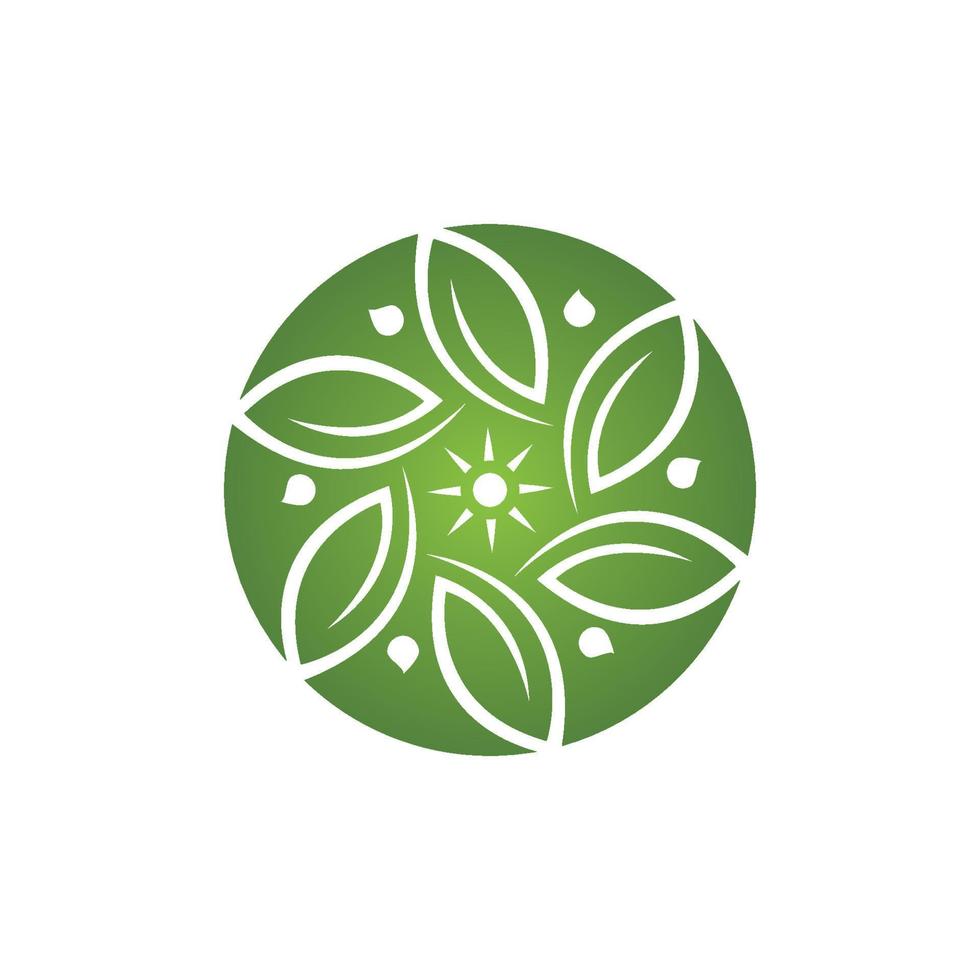 logotipos da ecologia de folhas verdes vetor