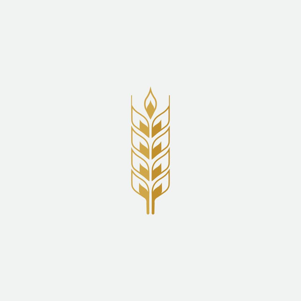 vetor de logotipo de trigo de agricultura