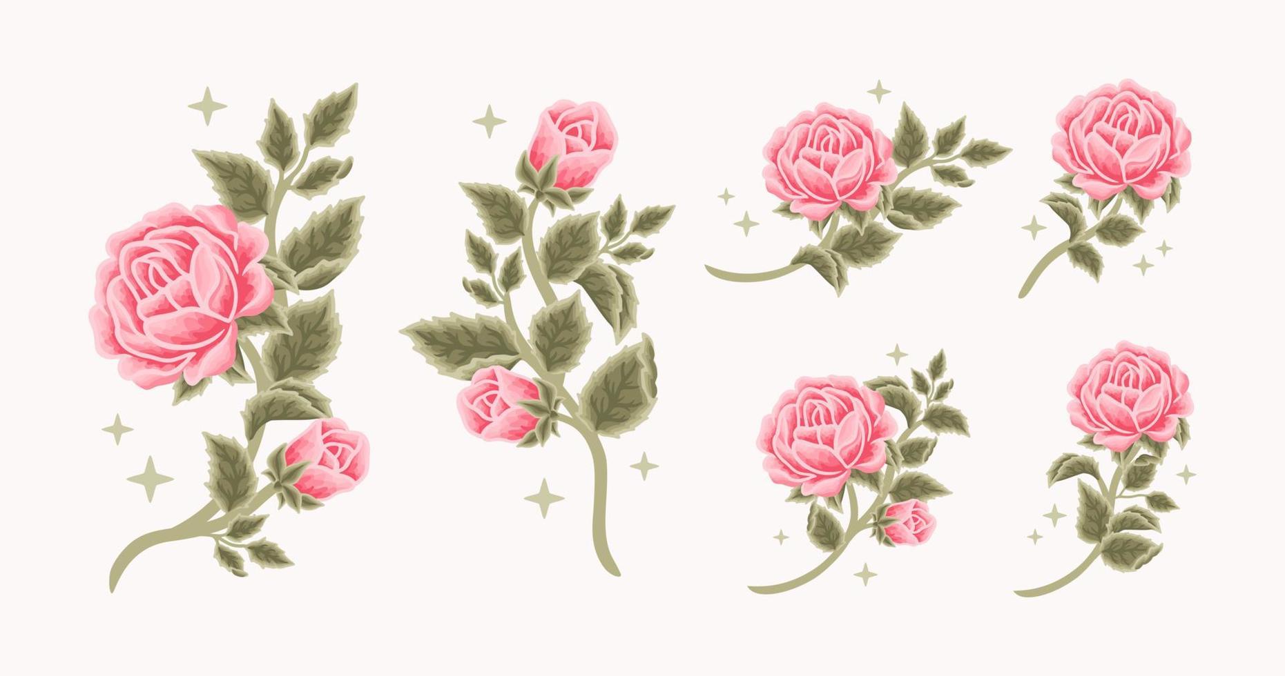 coleção de logotipo feminino vintage romântico botão de flor rosa, rótulo de beleza, elementos de marca vetor