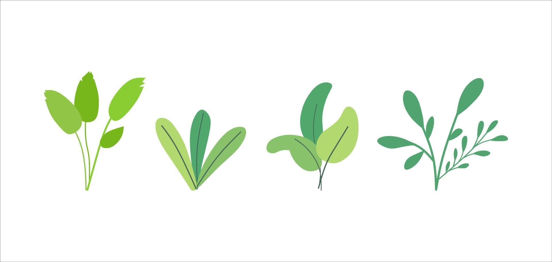 conjunto de ornamento de natureza verde folha plana vetor