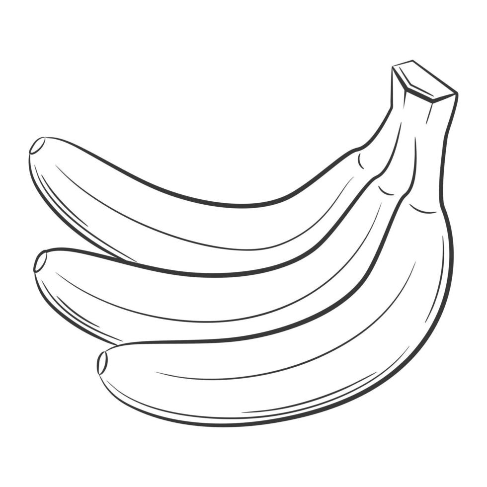 Linha Preto Da Banana a Colorir Desde O Início E Fresco Ilustração Stock -  Ilustração de fresco, fundo: 149376569