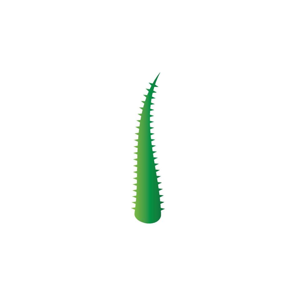 modelo de ilustração vetorial de logotipo de aloe vera vetor