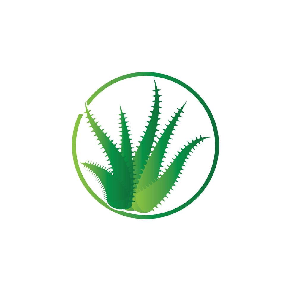 modelo de ilustração vetorial de logotipo de aloe vera vetor