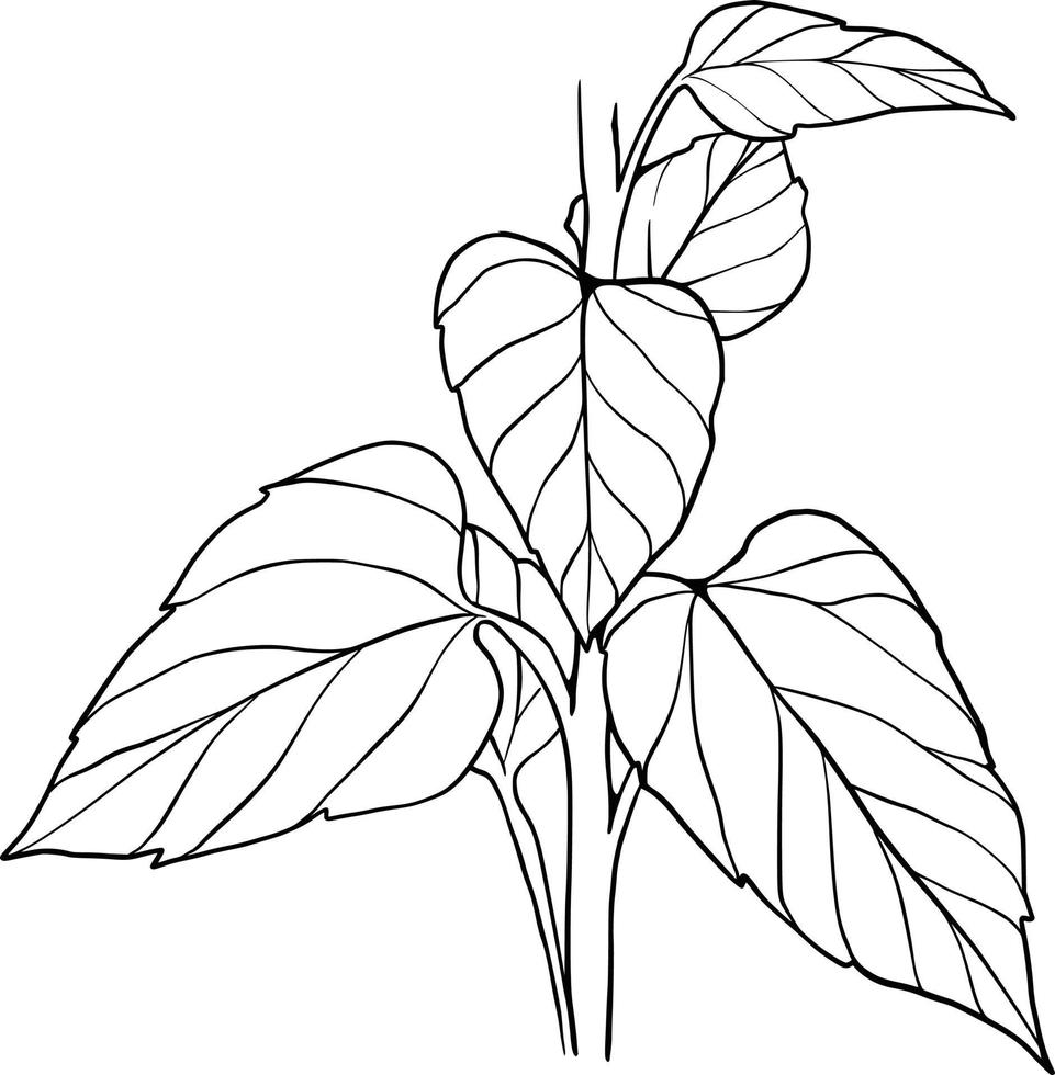 folhas ilustração de arte de linha arte de linha botânica ramo de folha floral vetor