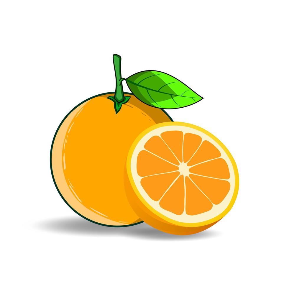 ilustração de design de vetor de frutas laranja isolada no fundo branco