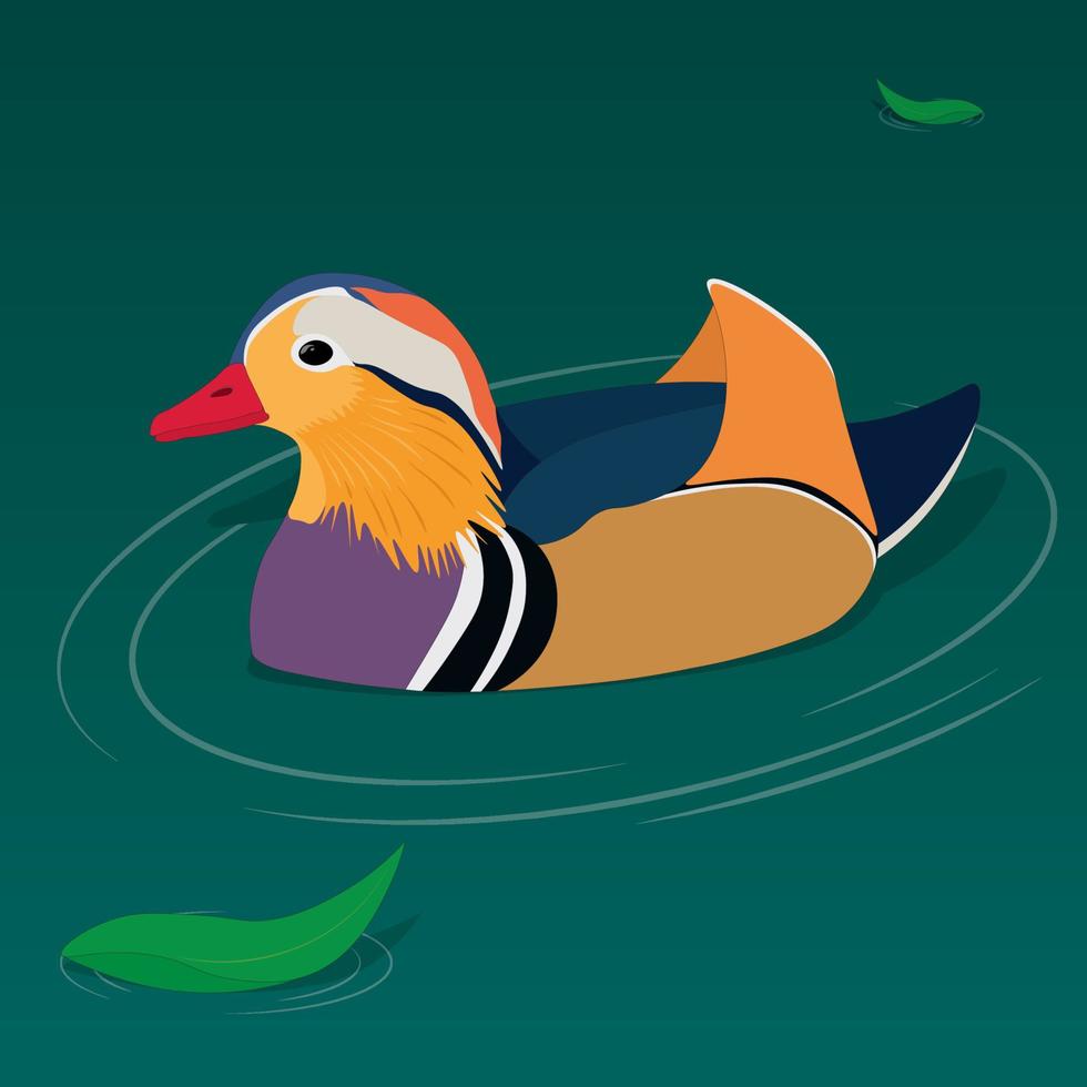 pato mandarim colorido na ilustração vetorial de superfície da lagoa vetor