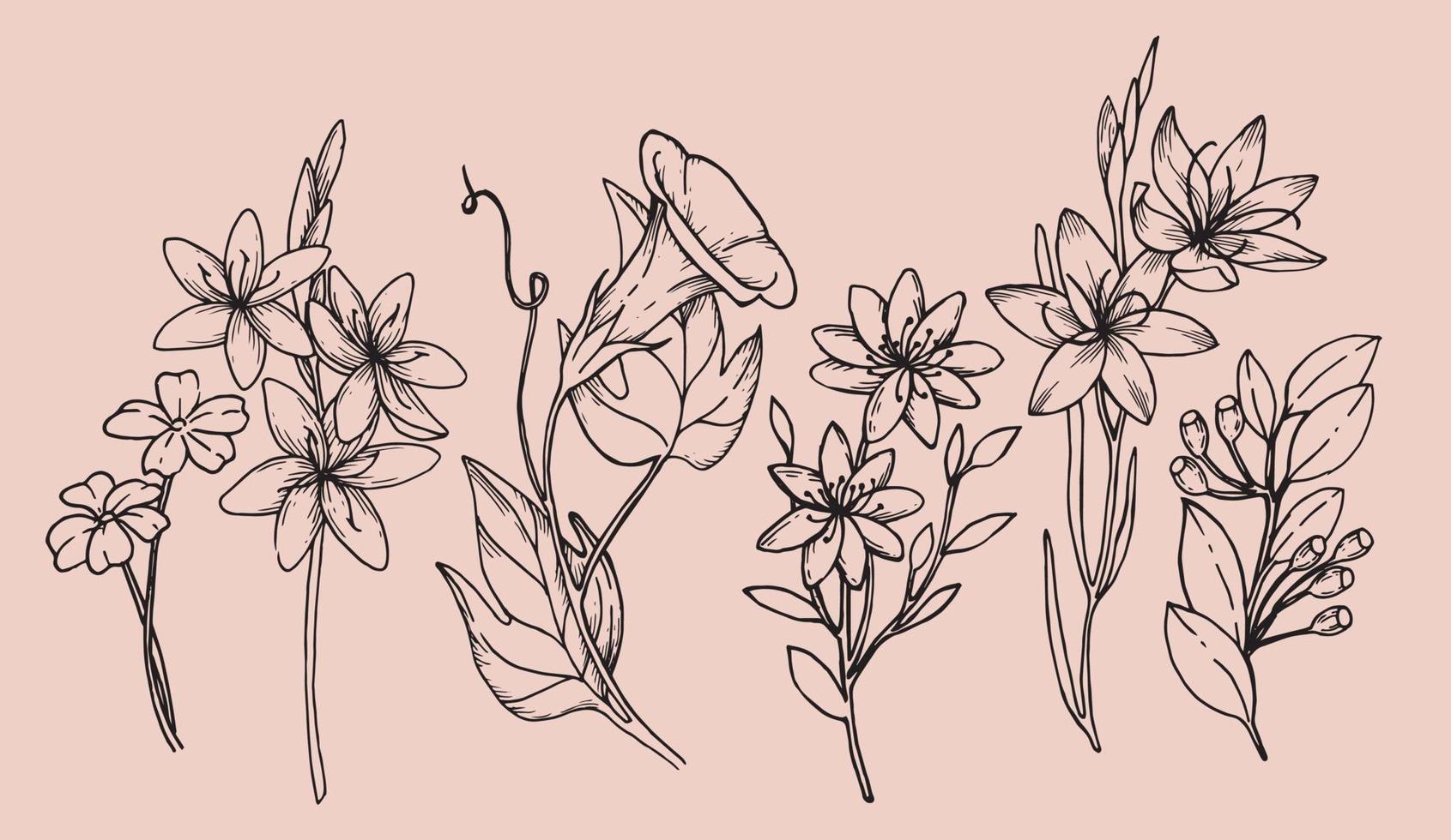 ramo floral e flores silvestres minimalistas para logotipo ou tatuagem. grama de casamento desenhada à mão, folhas elegantes para convite, salve o cartão de data. vegetação rústica na moda botânica vetor