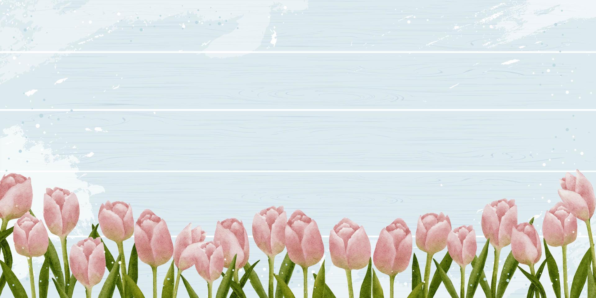 fundo de primavera com tinta digital em aquarela de tulipas no painel de madeira, ilustração vetorial banner flor rosa florescendo na textura de prancha de madeira para férias de verão ou dia das mães, cartão de convite de casamento vetor