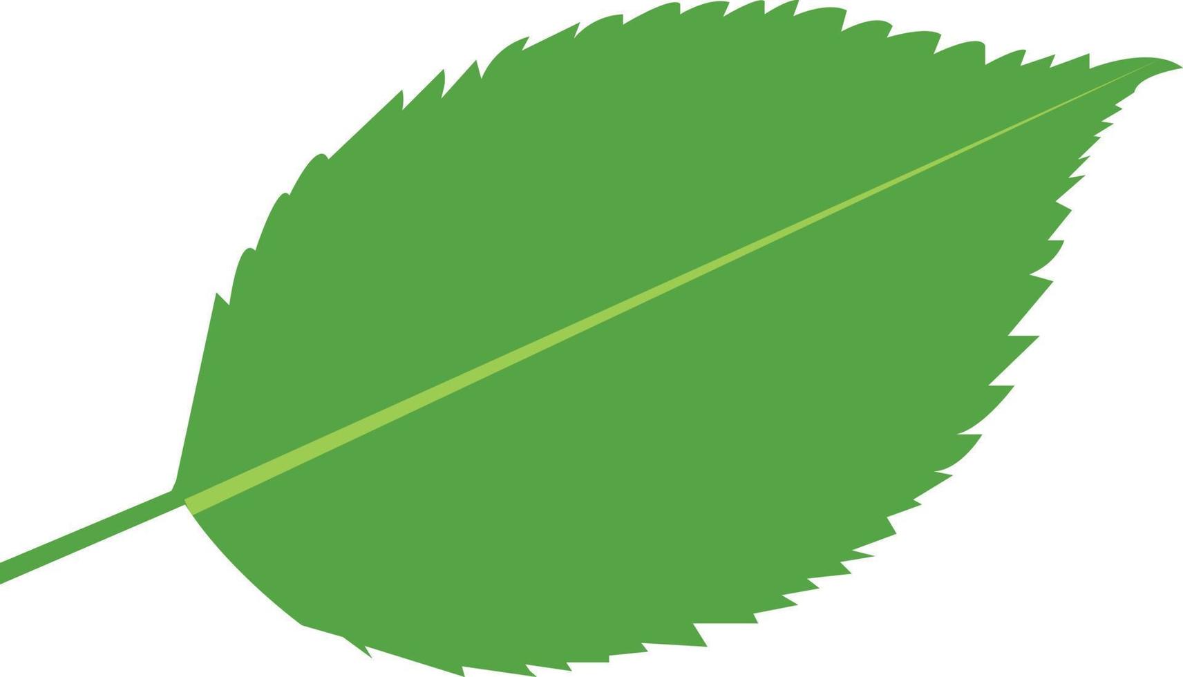 conjunto de ícones de folha verde. cor verde. folhas logotipo de ícone de cor verde. folhas em fundo branco. ecologia. ilustração vetorial. vetor