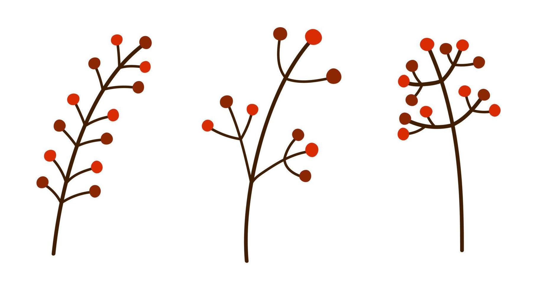 conjunto de ramos isolados de outono com bagas. bagas vermelhas decorativas. ilustração vetorial botânica de frutas sazonais. vetor