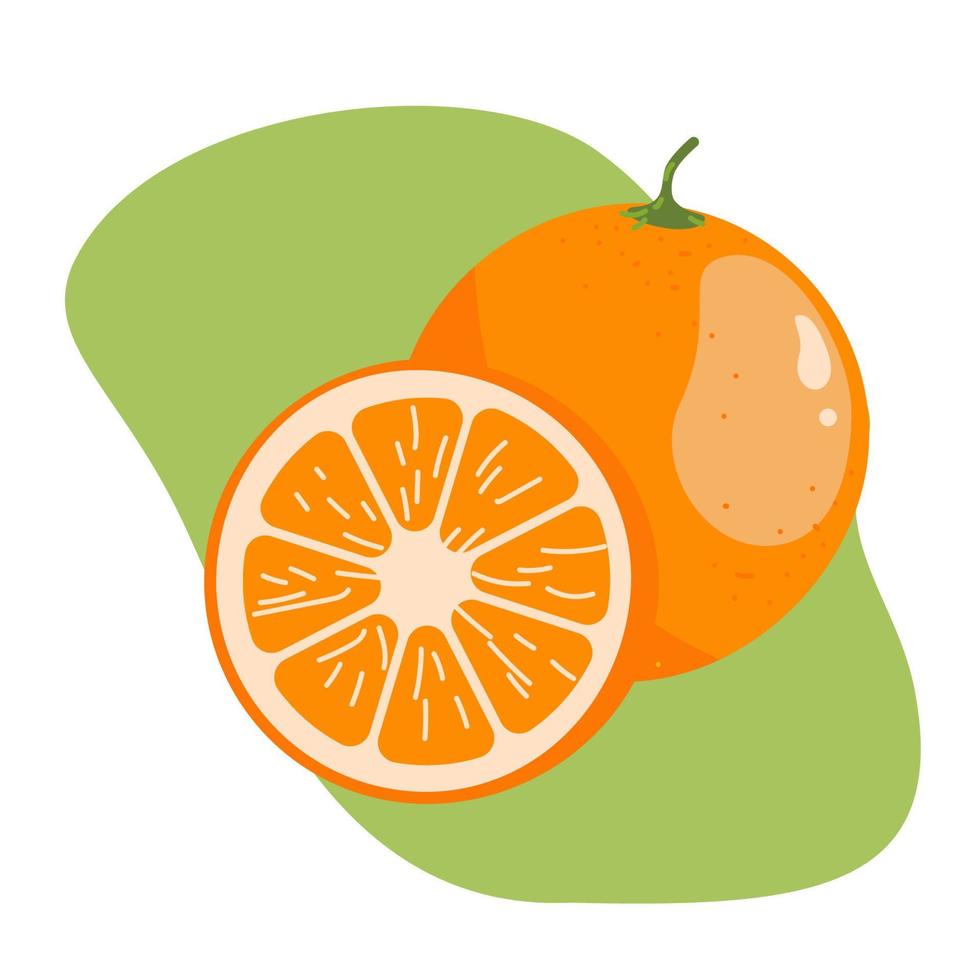 fruta laranja inteira e fatia suculenta fresca dos desenhos animados laranja ilustração colorida brilhante vetor