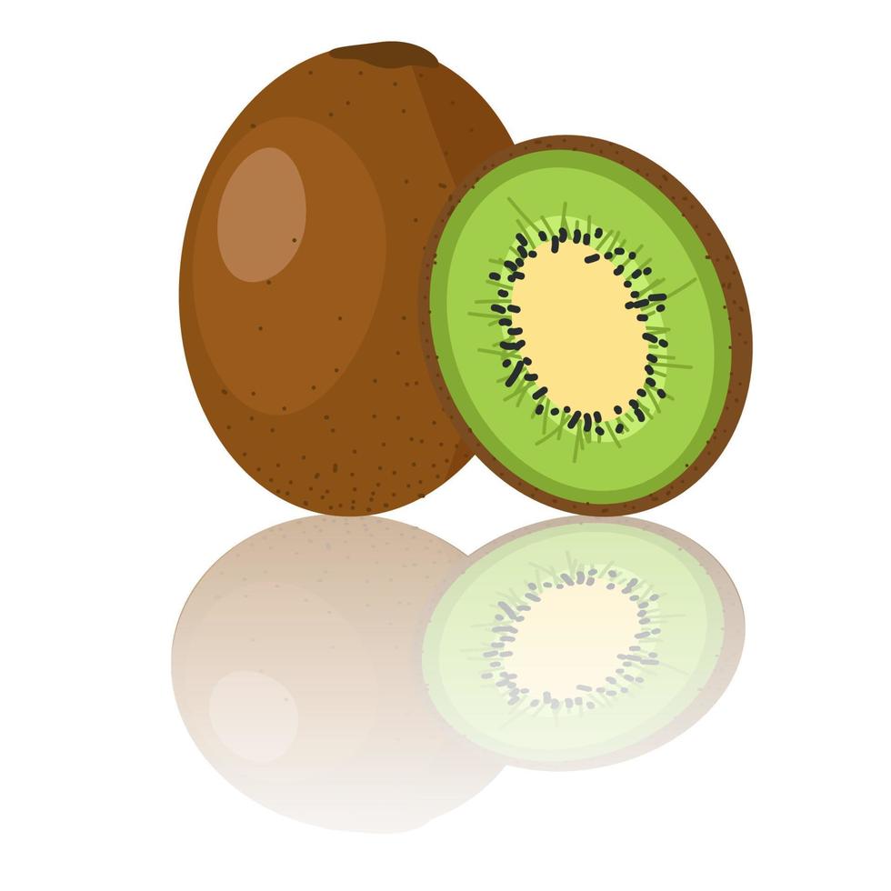 kiwi ilustração inteira e fatiada frutas exóticas para dieta saudável e fonte de vitamina c vetor