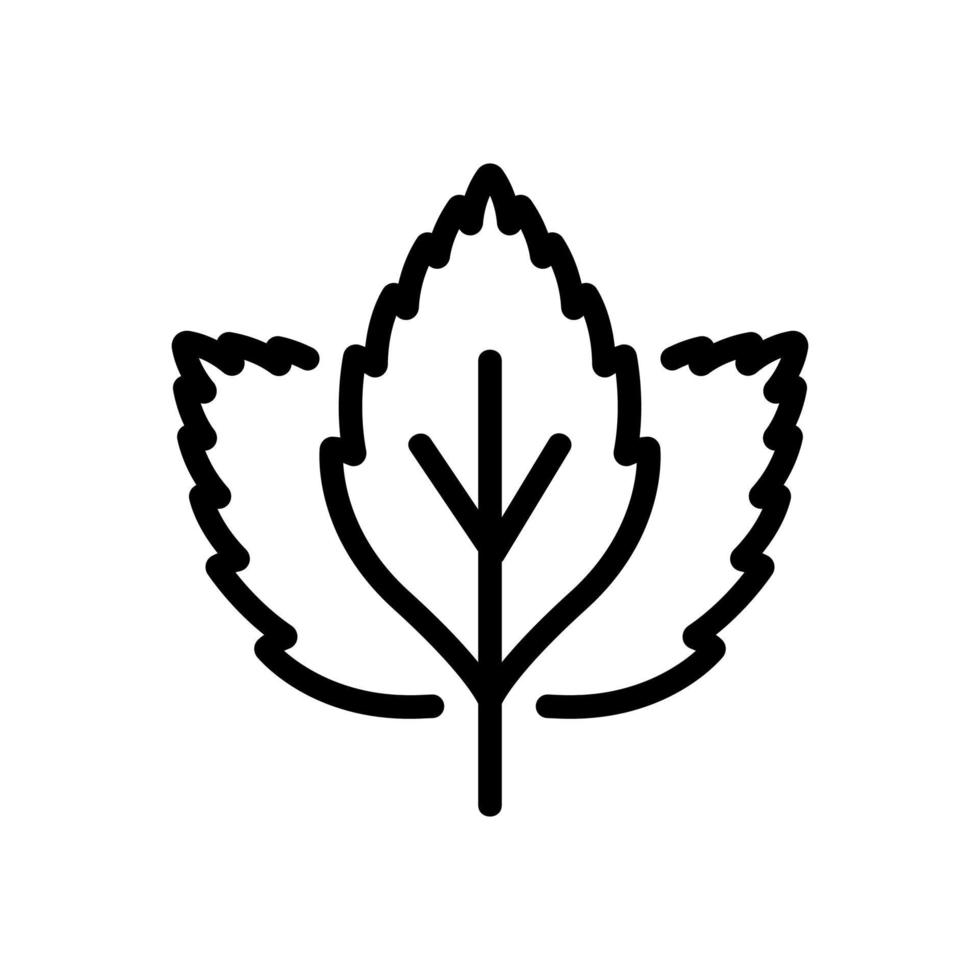 ilustração de contorno de vetor de ícone de folhas de hortelã